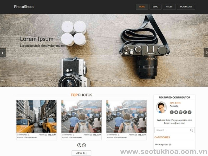 theme wordpress