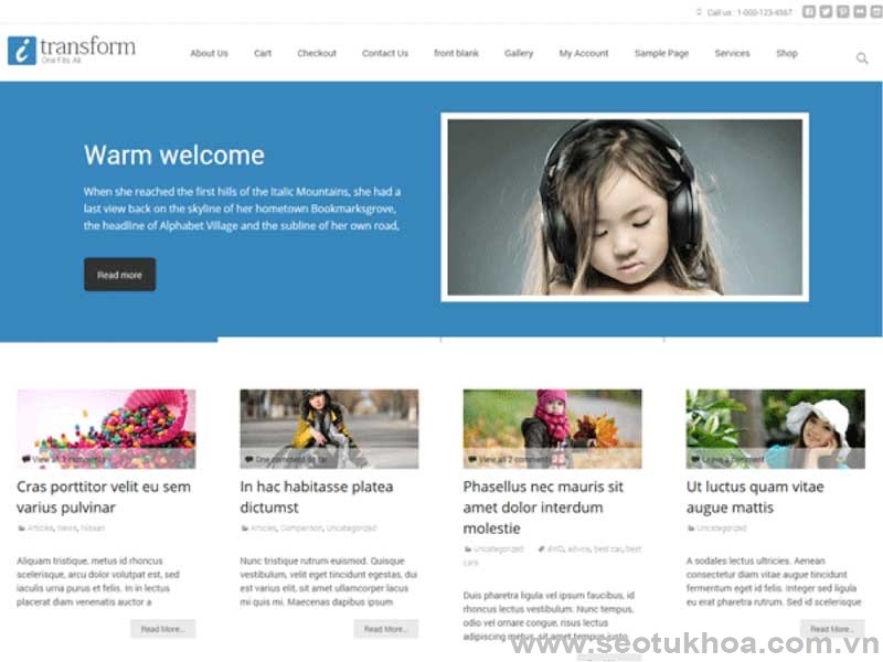 theme wordpress